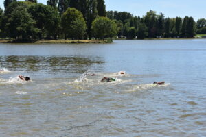 Several swimmers compete in an outdoor open water race, creating splashes as they swim across a lake, with trees and greenery lining the shore in the background under a clear blue sky.