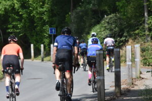 Several cyclists wearing colorful jerseys ride uphill on a paved, tree-lined road on a sunny day. Wooden posts line the roadside, and greenery surrounds the area.