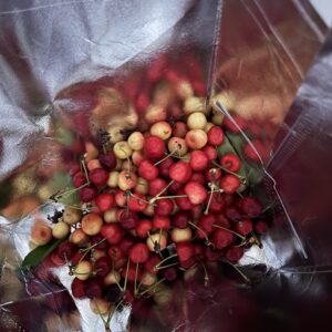 Competitive Dietary Plan