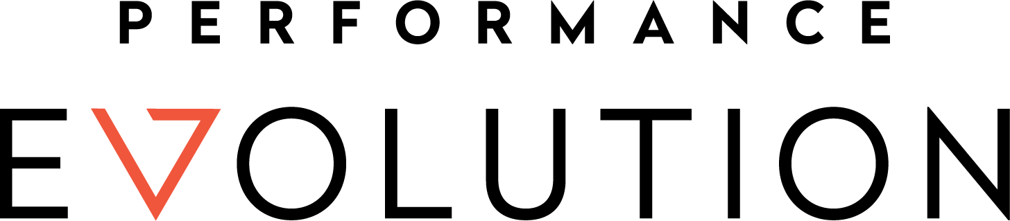 Large black text spells EVOLUTION on a light gray background, with the V depicted as a red triangle. The word PERFORMANCE appears in smaller, faint black letters above EVOLUTION.