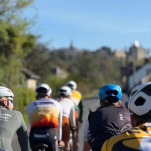 A group of cyclists rides together on a sunny day down a tree-lined road, buildings and a church spire blurred in the background, experiencing the Trainings Stage.