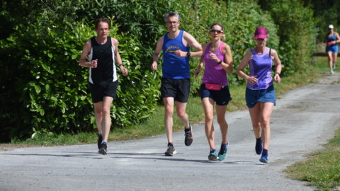 Four people jog on a sunny path, surrounded by greenery during the Run to Wellness week. The group consists of two men and two women, all wearing athletic clothing. Another person is running in the background.