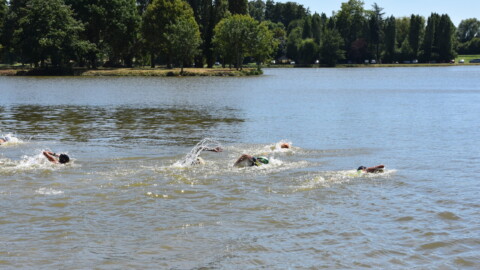 Several swimmers compete in an outdoor open water race, creating splashes as they swim across a lake, with trees and greenery lining the shore in the background under a clear blue sky.