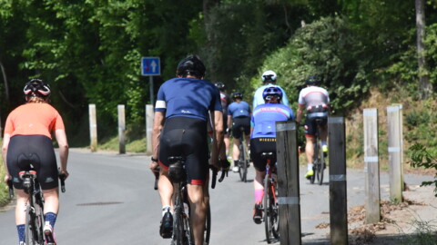 Several cyclists wearing colorful jerseys ride uphill on a paved, tree-lined road on a sunny day. Wooden posts line the roadside, and greenery surrounds the area.