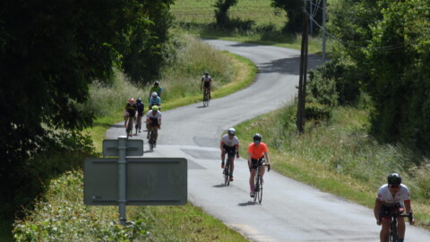 A group of cyclists ride up a winding rural road surrounded by greenery and trees on a sunny day. Two road signs are visible in the foreground, partially blocking some of the cyclists.