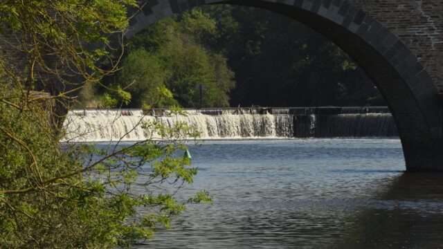 A stone bridge arches over a river with a small waterfall in the background, reminiscent of a glorious chateau in the Loire. Green trees and branches frame the left side, while sunlight sparkles on the water.